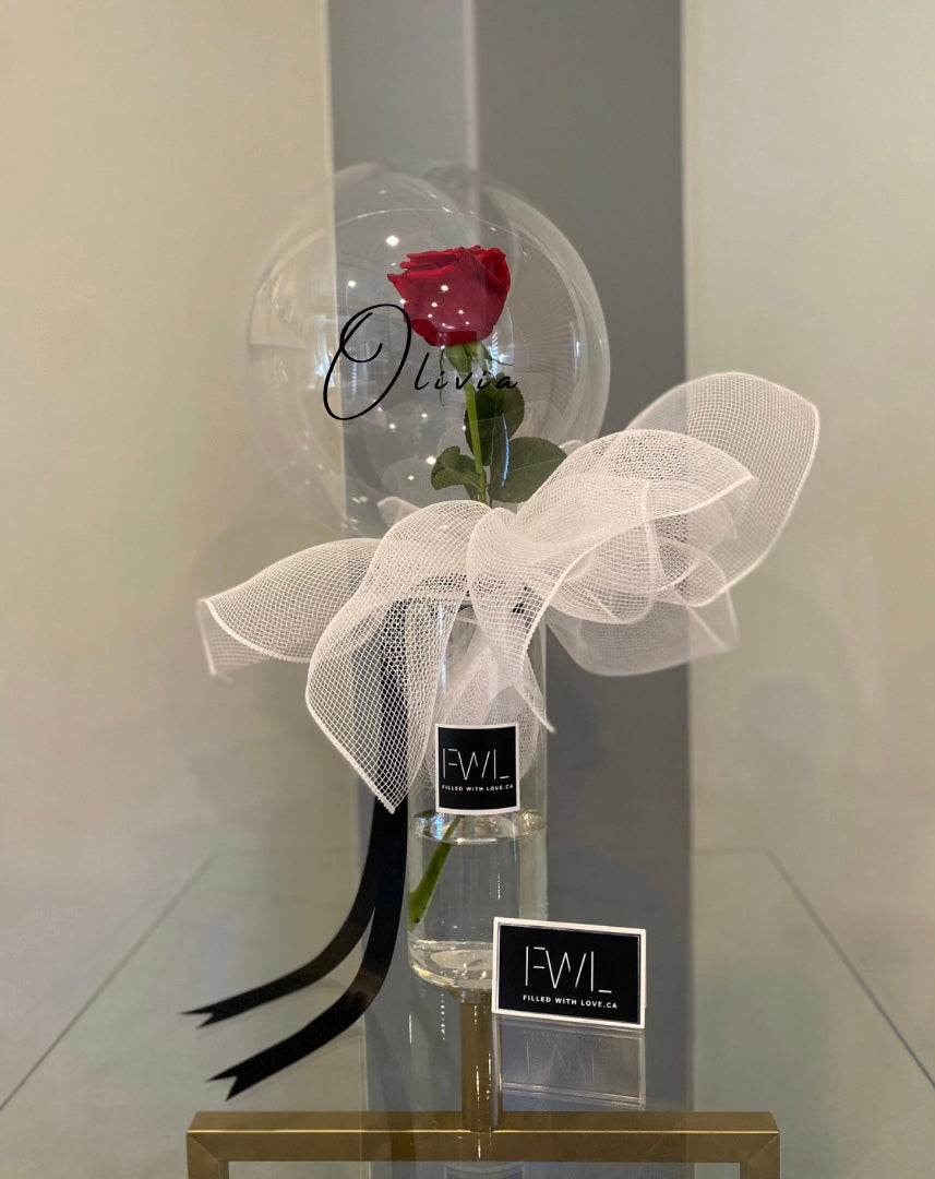 Fresh Single rose in a clear bubble balloon