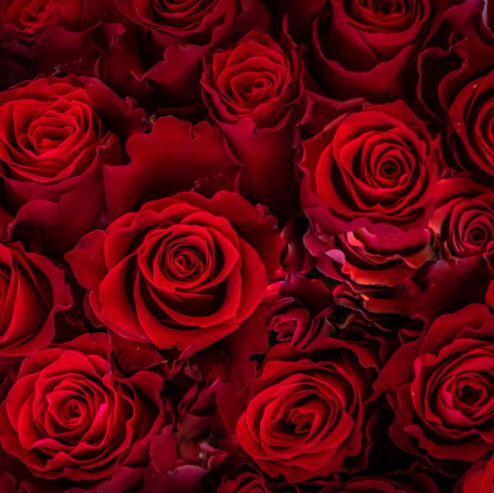 Mum’s Long Stem Roses for