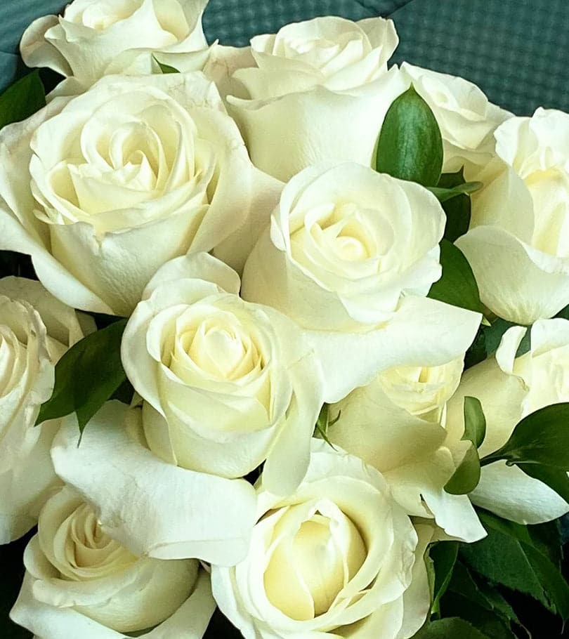 Mum’s Long Stem Roses for